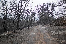 The Fire, Which Has Already Burned 3,321 Hectares, Is Under Control - Spain