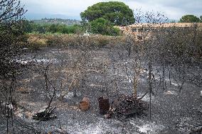 The Fire, Which Has Already Burned 3,321 Hectares, Is Under Control - Spain