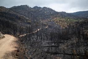 The Fire, Which Has Already Burned 3,321 Hectares, Is Under Control - Spain