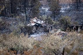 The Fire, Which Has Already Burned 3,321 Hectares, Is Under Control - Spain