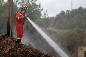 The Fire, Which Has Already Burned 3,321 Hectares, Is Under Control - Spain