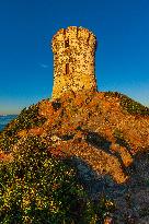 Illustration - Ajaccio
