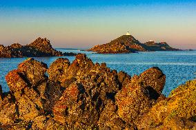 Illustration - Ajaccio