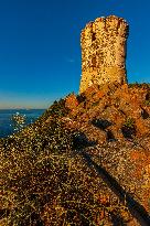 Illustration - Ajaccio