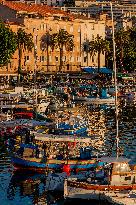 Illustration - Ajaccio