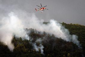Air Rescue Operations During a Mountain Fire - Italy