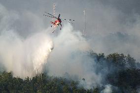 Air Rescue Operations During a Mountain Fire - Italy