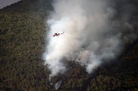 Air Rescue Operations During a Mountain Fire - Italy