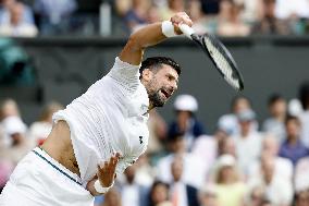 Tennis: Wimbledon championships