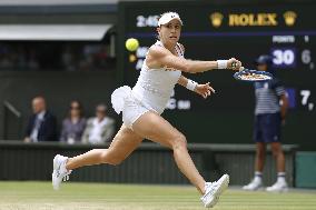 Tennis: Wimbledon championships
