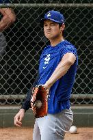 Baseball:Shohei Ohtani