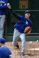Baseball:Shohei Ohtani