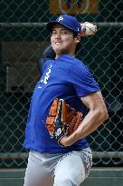 Baseball:Shohei Ohtani