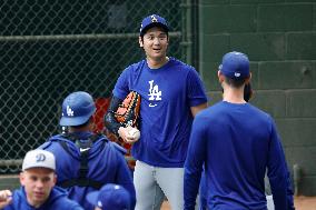 Baseball:Shohei Ohtani