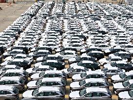 2025 H1 Chinese Vehicles Sales Increase