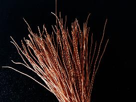 US Imposes 50% Tariff on Copper