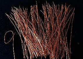 US Imposes 50% Tariff on Copper