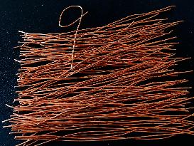 US Imposes 50% Tariff on Copper