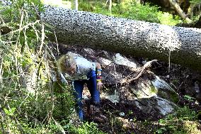 WOC2025 - 2025 World Orienteering Championships - Kuopio, Finland