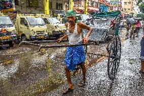 Heavy Monsoon Rains - India