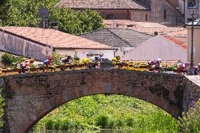 CICLISMO - Giro d'Italia - Giro d'Italia Women - Stage 5 - Mirano/Monselice