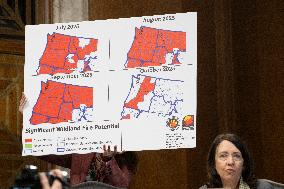 2026 budget proposal for the U.S. Forest Service