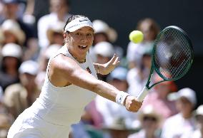 Tennis: Wimbledon championships