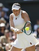 Tennis: Wimbledon championships