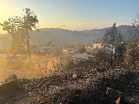 Wildfires Rage in Latakia - Syria