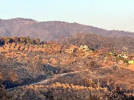 Wildfires Rage in Latakia - Syria