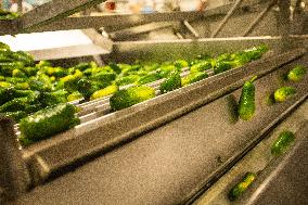 Food production