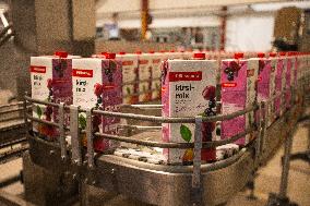 Food production