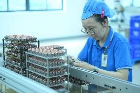 Automobile Parts Manufacturing in Nantong