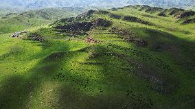 (EcoChina)CHINA-GANSU-XIAHE-GRASSLAND-SUMMER (CN)