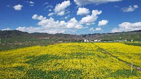 (EcoChina)CHINA-GANSU-XIAHE-GRASSLAND-SUMMER (CN)