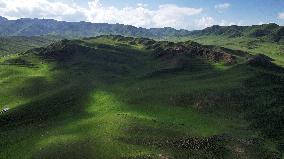 (EcoChina)CHINA-GANSU-XIAHE-GRASSLAND-SUMMER (CN)