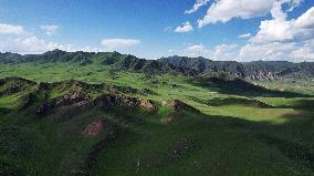 (EcoChina)CHINA-GANSU-XIAHE-GRASSLAND-SUMMER (CN)
