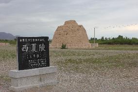 Xixia Imperial Tombs