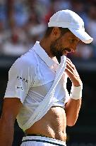 Wimbledon - Semi Final Round - Jannik Sinner vNovak Djokovic