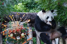 Giant Panda Lanxiang Celebrated 23rd Birthday in Chongqing Zoo