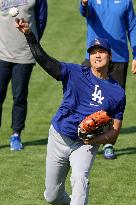 Baseball:Shohei Ohtani