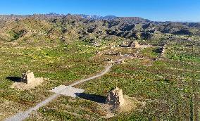 Xixia Imperial Tombs inscribed as UNESCO World Heritage Site - China