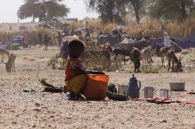 Displaced Children Of El Fasher - Sudan