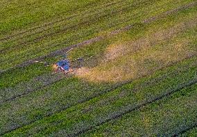Drone Agriculture