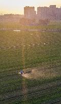Drone Agriculture