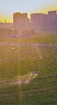 Drone Agriculture