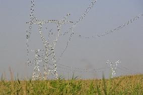 China Completes 750-kV Power Transmission Loop