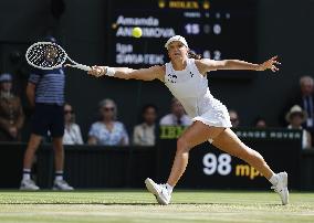 Tennis: Wimbledon championships