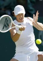 Tennis: Wimbledon championships