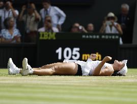 Tennis: Wimbledon championships